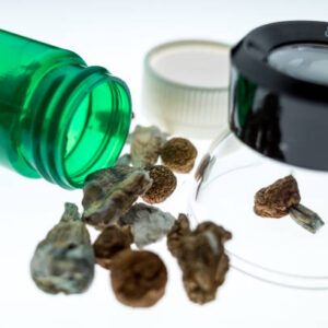 Buy Magic Mushrooms Oregon